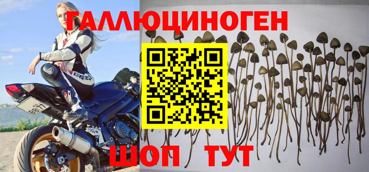 А ПВП Орск