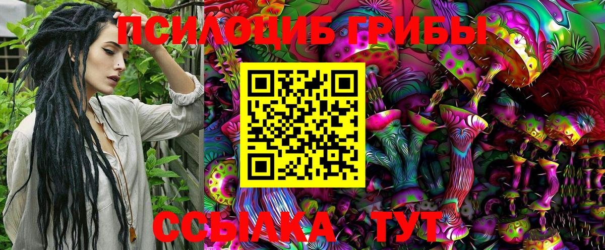 Галлюциногенные грибы Psilocybine cubensis Орск